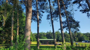 The Retreat 1 bed cabin in the woods